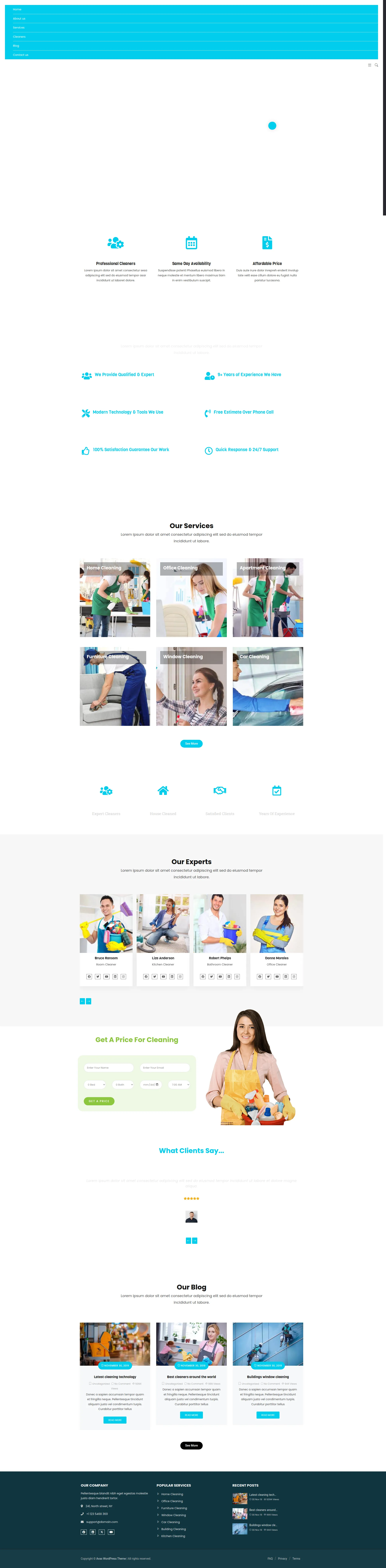 SparkClean Pro Preview