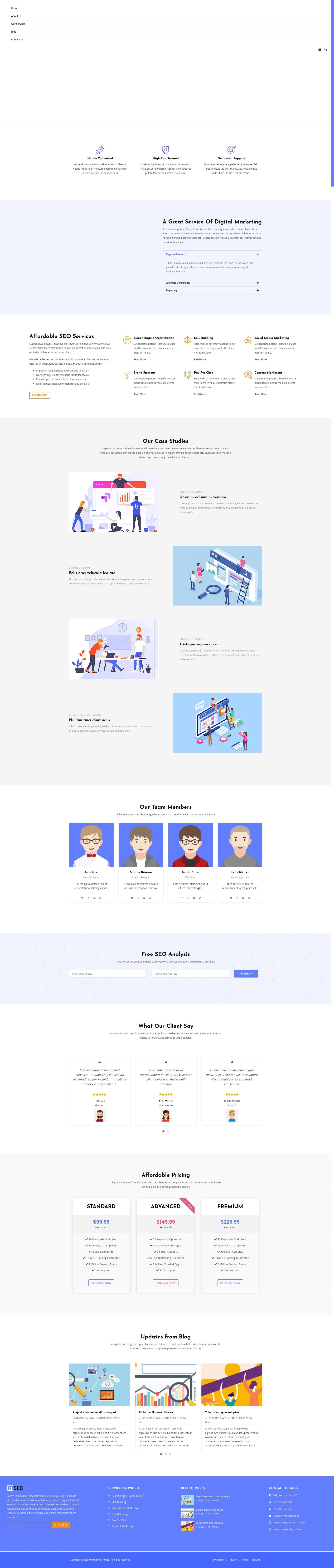 RankRise SEO Agency Preview